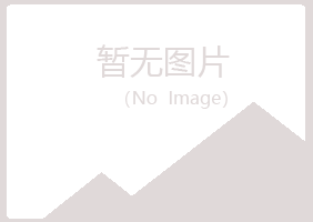 河北字迹咨询有限公司